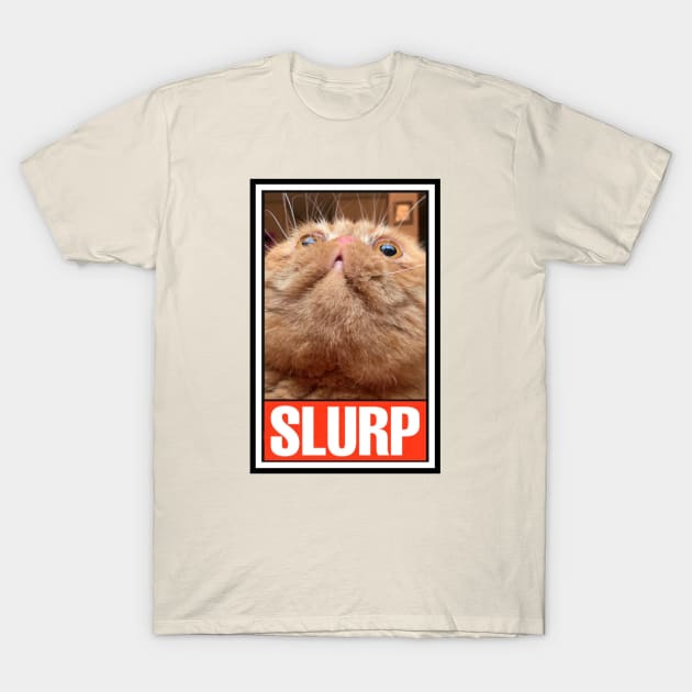 Cat guy shirt deals